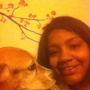 Meet your Posher, Baxter